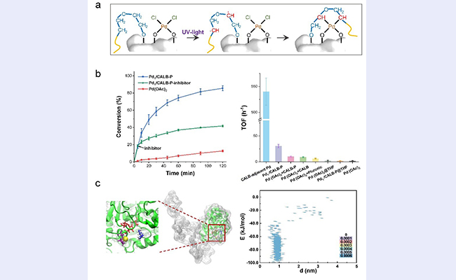 2025新澳门开门原料免费