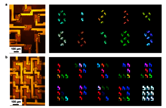 2025新澳门开门原料免费