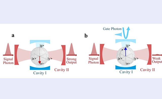 2025新澳门开门原料免费