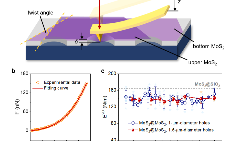 2025新澳门开门原料免费