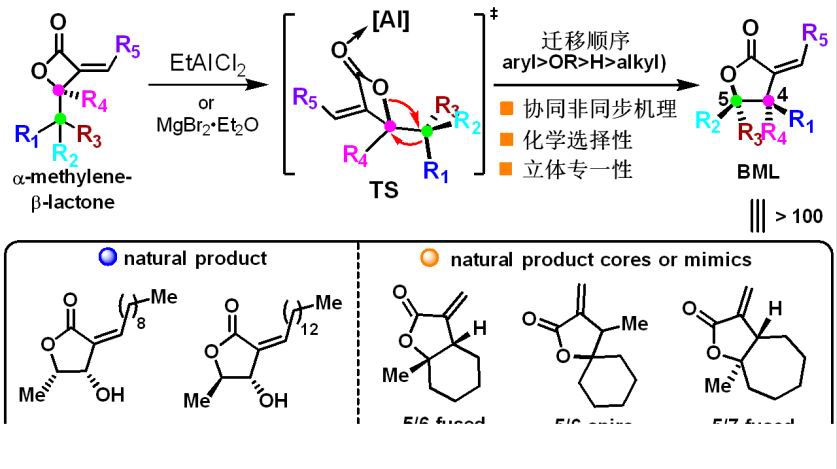 2025新澳门开门原料免费