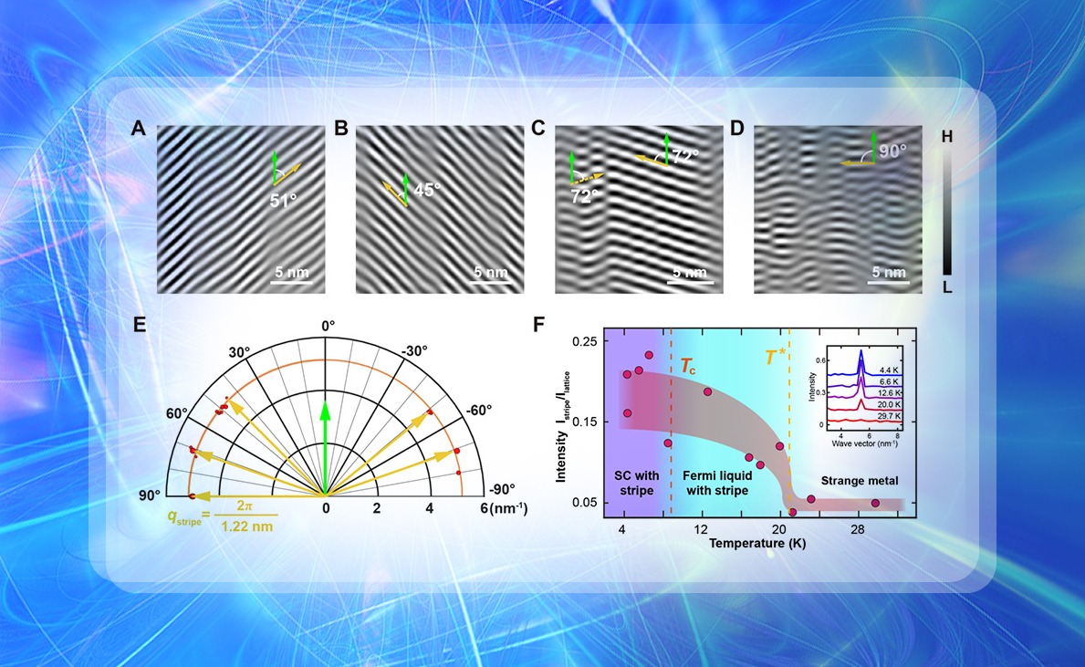 2025新澳门开门原料免费