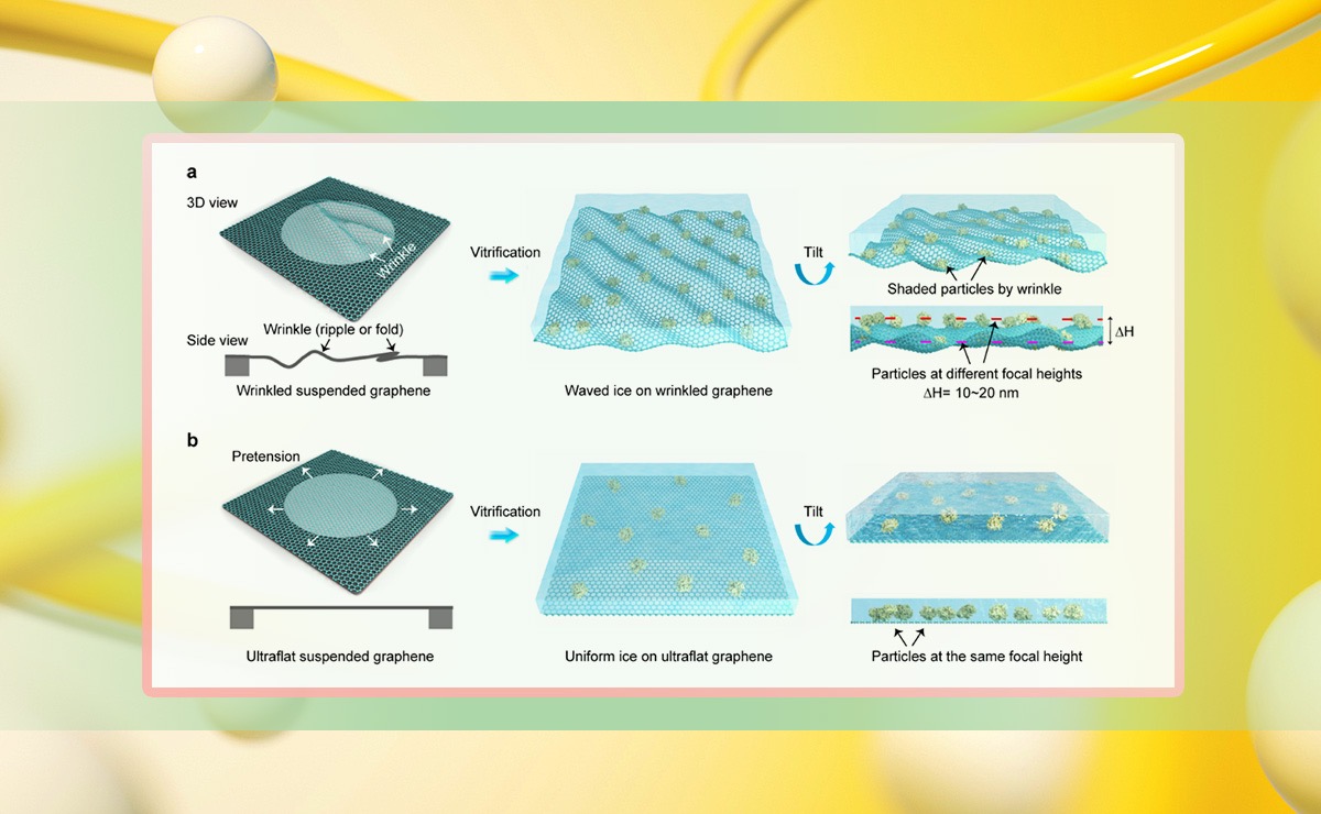 2025新澳门开门原料免费