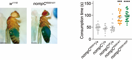 2025新澳门开门原料免费