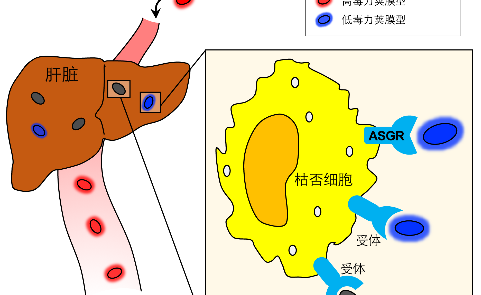 2025新澳门开门原料免费