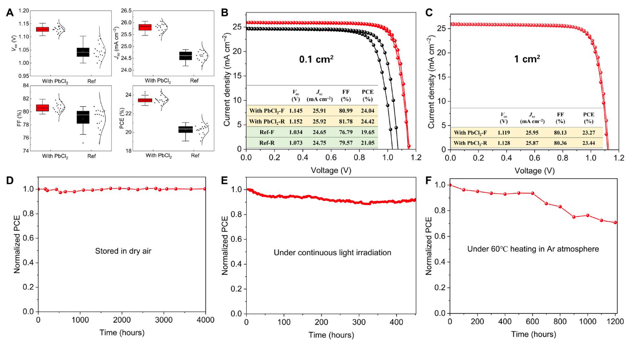 2025新澳门开门原料免费