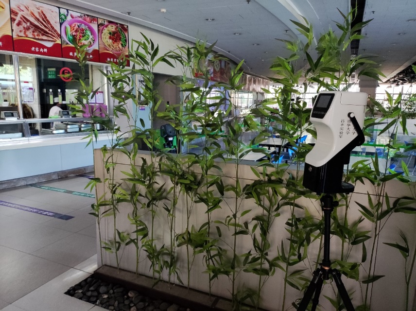 2025新澳门开门原料免费