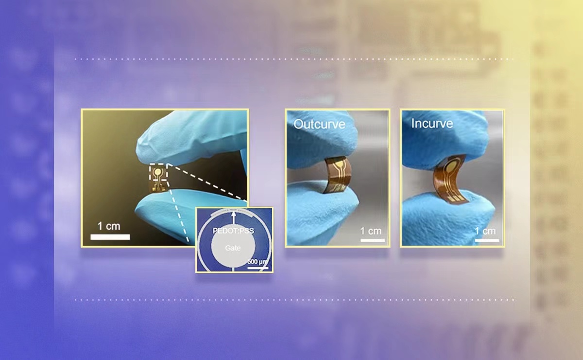 2025新澳门开门原料免费