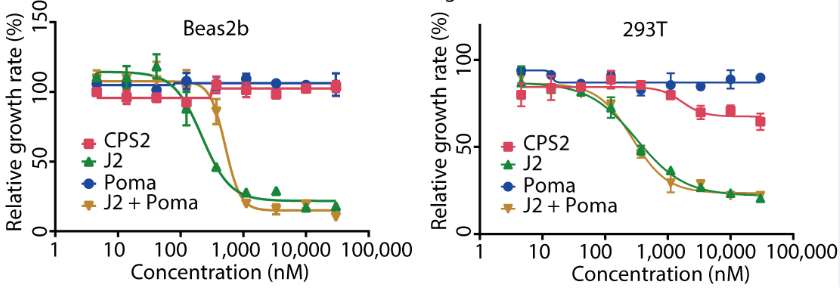2025新澳门开门原料免费