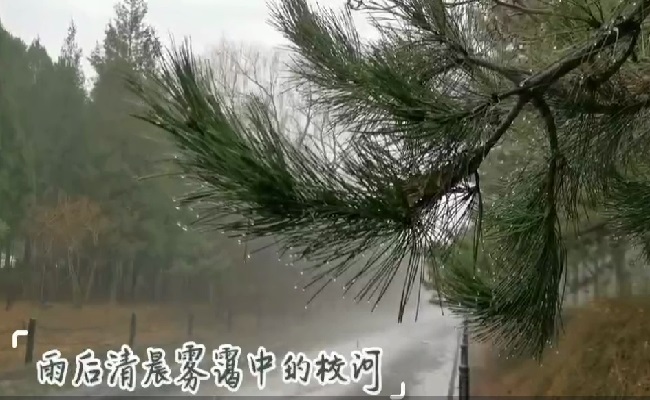2025新澳门开门原料免费