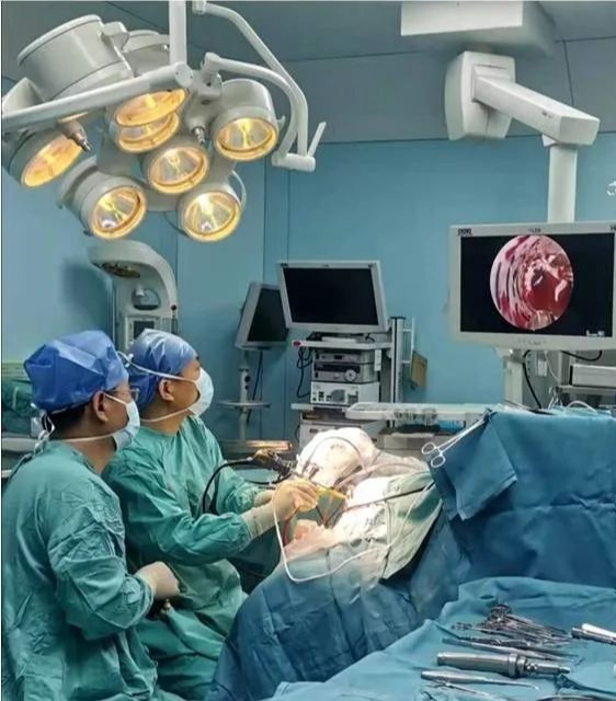 2025新澳门开门原料免费