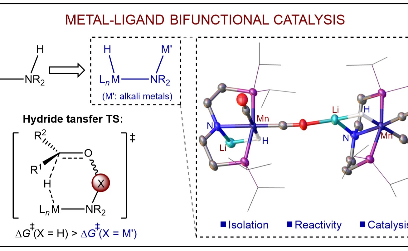2025新澳门开门原料免费