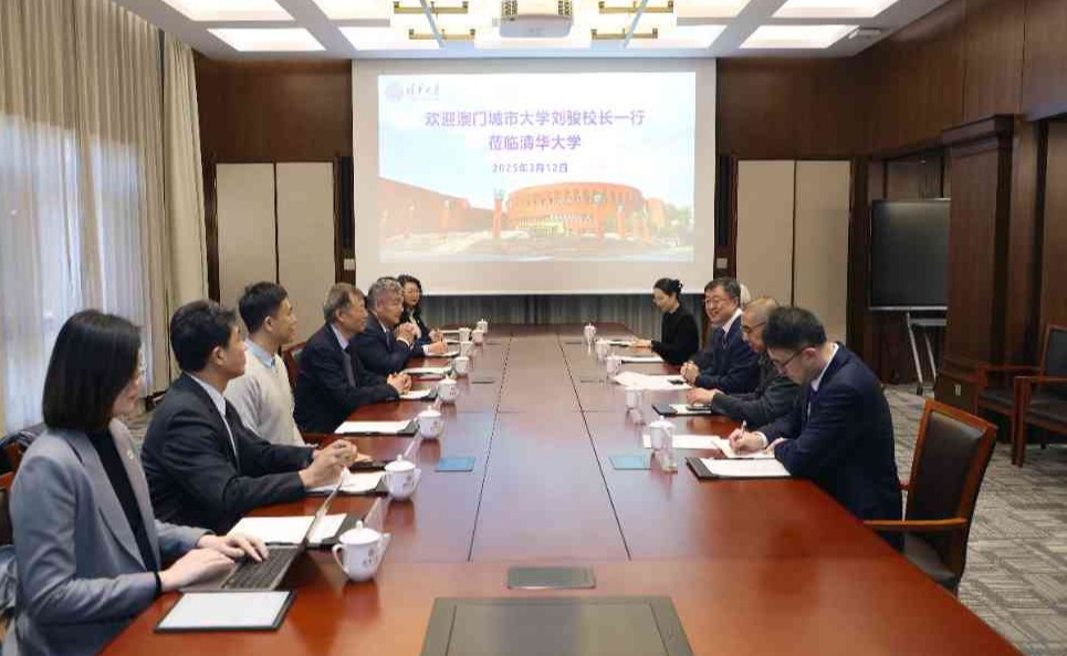 2025新澳门开门原料免费