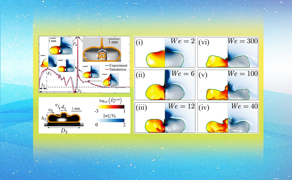 2025新澳门开门原料免费