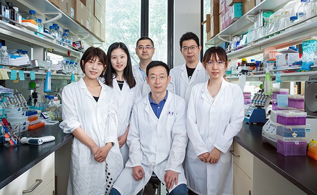 2025新澳门开门原料免费