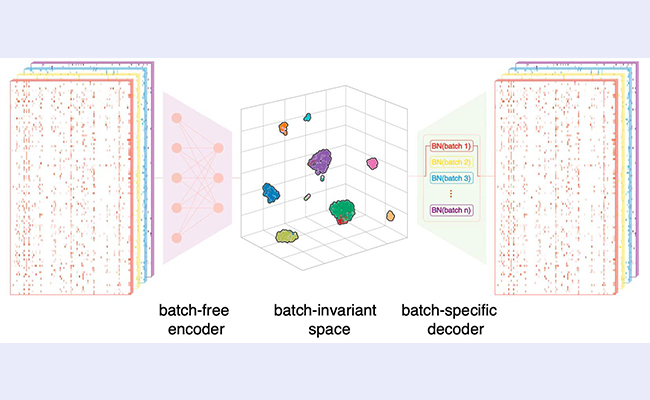 2025新澳门开门原料免费
