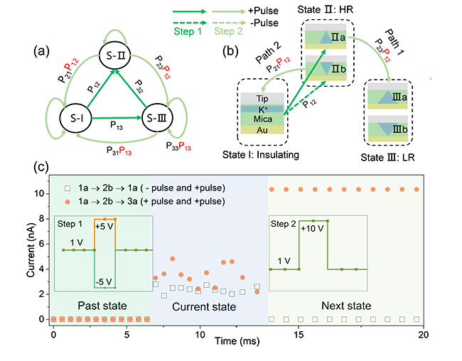2025新澳门开门原料免费