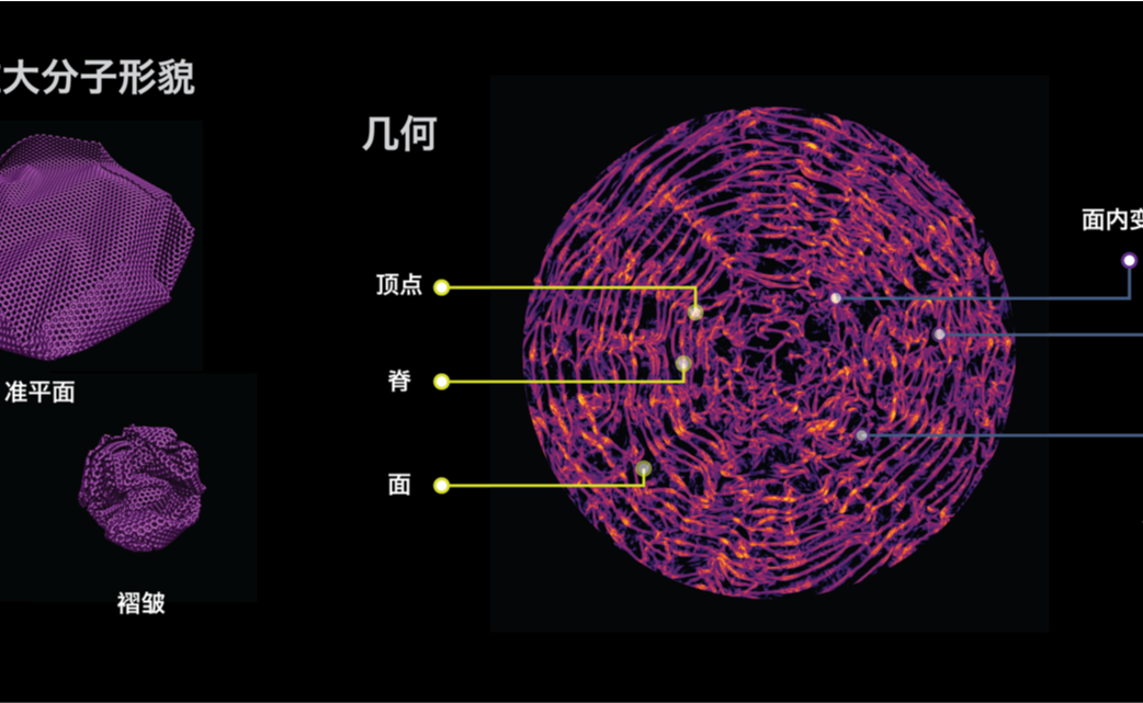 2025新澳门开门原料免费