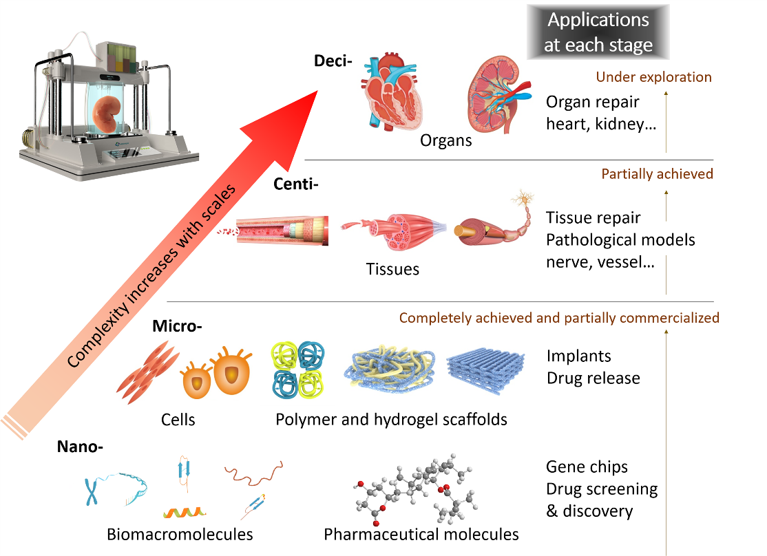 2025新澳门开门原料免费