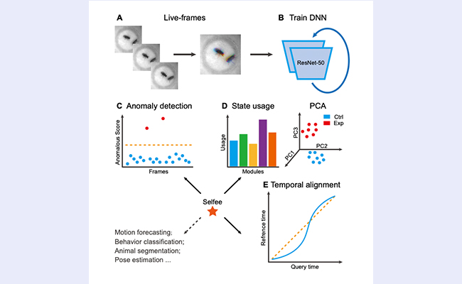 2025新澳门开门原料免费