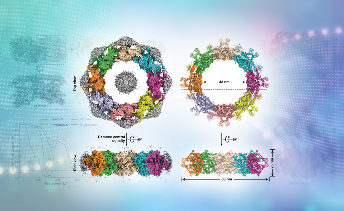 2025新澳门开门原料免费