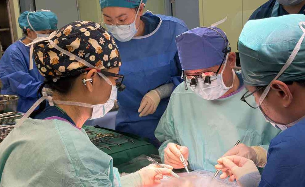 2025新澳门开门原料免费