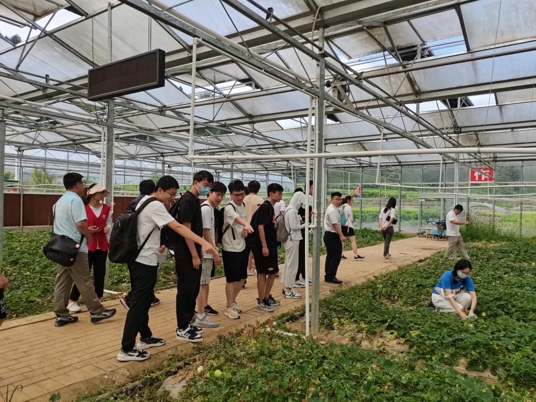 20220808-0814-2025新澳门开门原料免费“林枫计划”师生赴江西赣县区调研实践-马小涵摄-支队师生参观五云镇夏潭村蔬菜研学基地.jpg