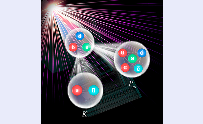 2025新澳门开门原料免费