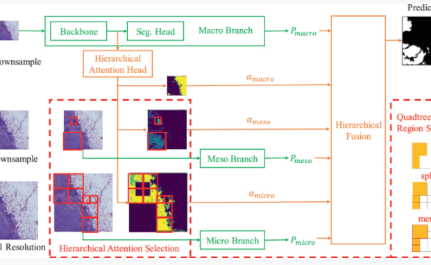 2025新澳门开门原料免费