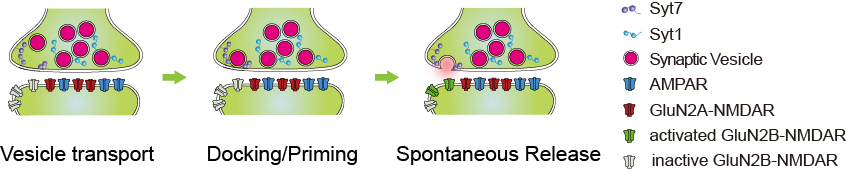 2025新澳门开门原料免费