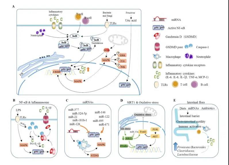 2025新澳门开门原料免费