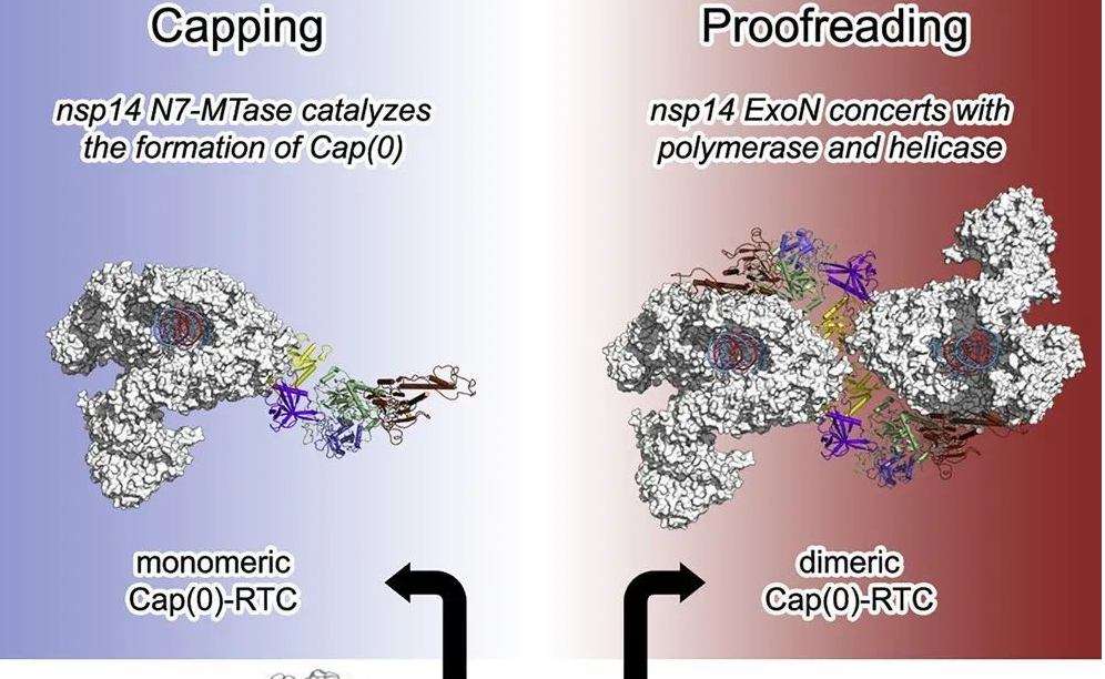 2025新澳门开门原料免费