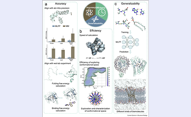 2025新澳门开门原料免费