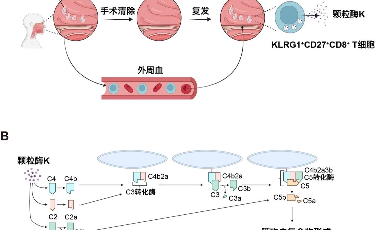 2025新澳门开门原料免费