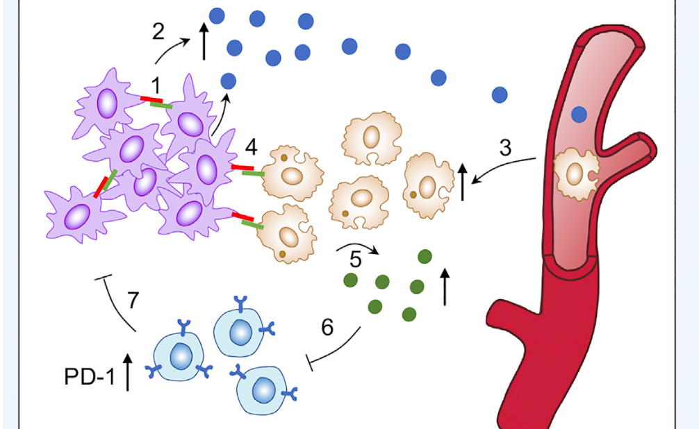 2025新澳门开门原料免费