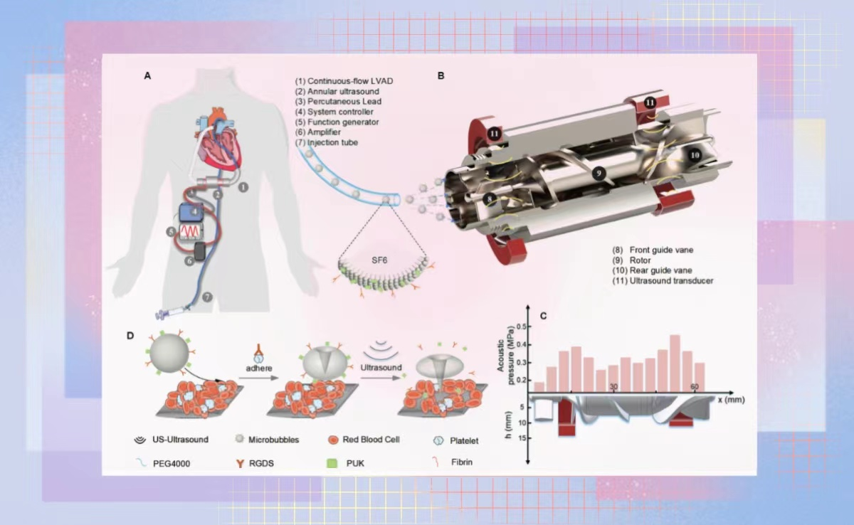 2025新澳门开门原料免费
