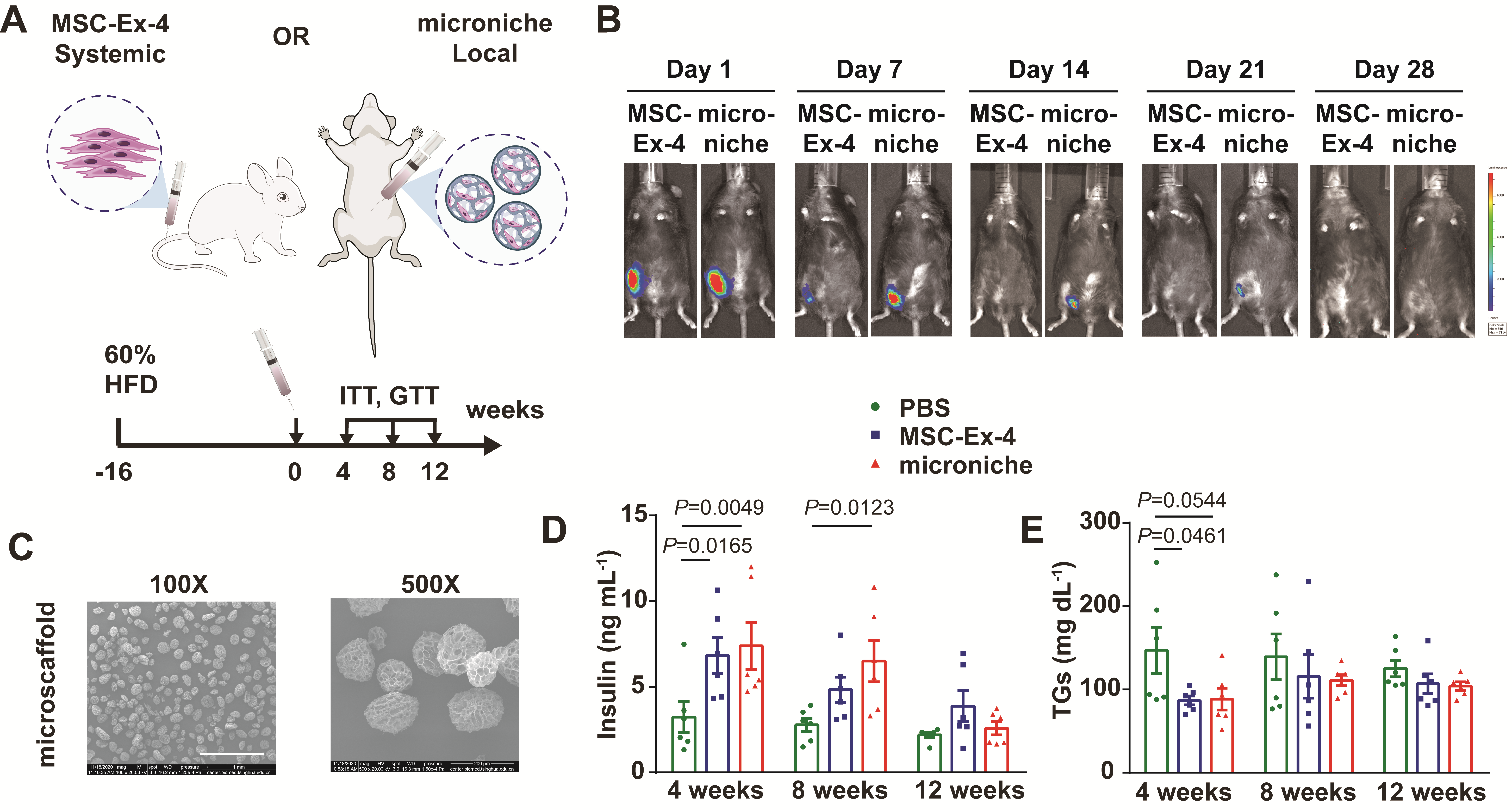2025新澳门开门原料免费