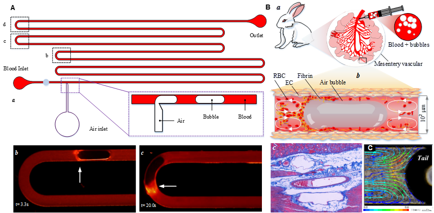 2025新澳门开门原料免费