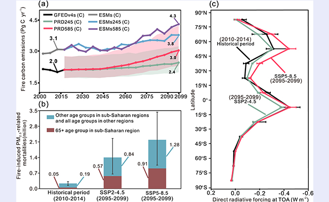2025新澳门开门原料免费