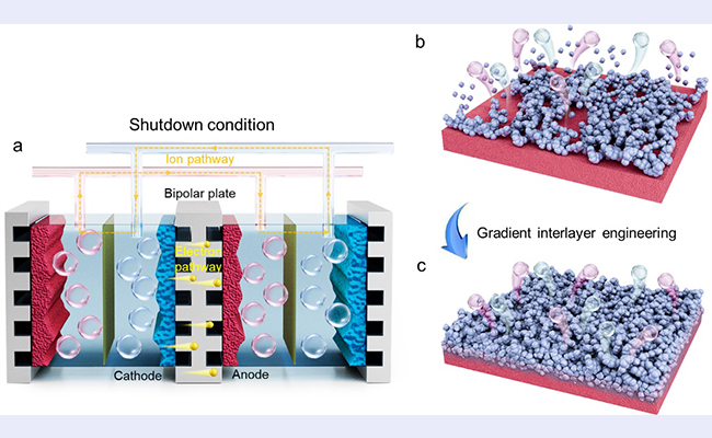 2025新澳门开门原料免费