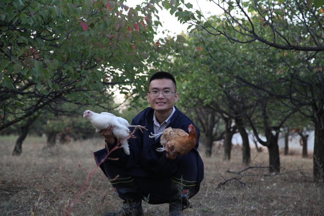 2025新澳门开门原料免费