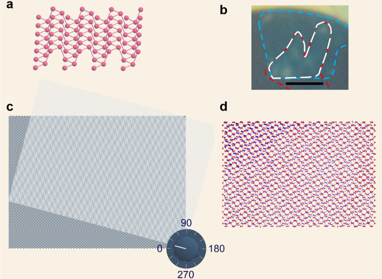 2025新澳门开门原料免费