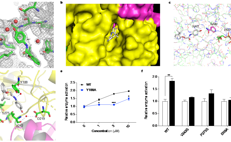 2025新澳门开门原料免费