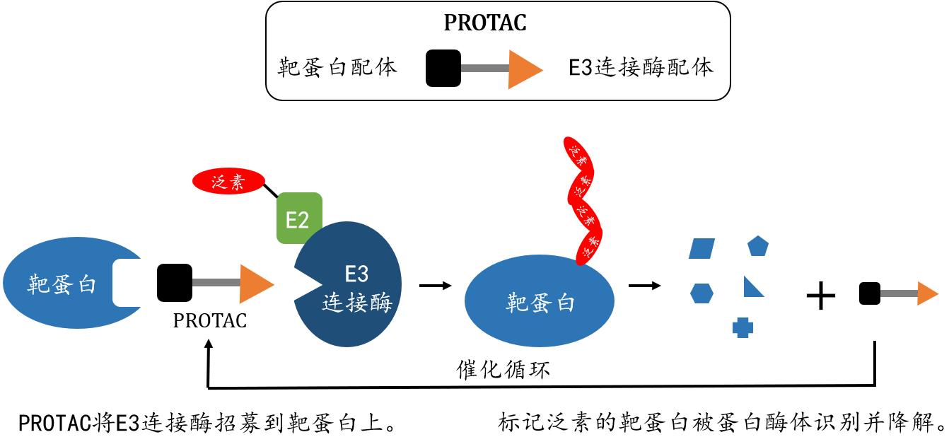 2025新澳门开门原料免费