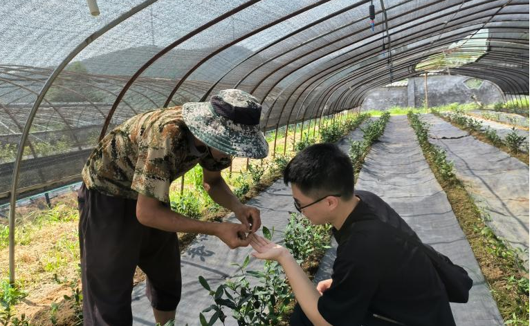2025新澳门开门原料免费