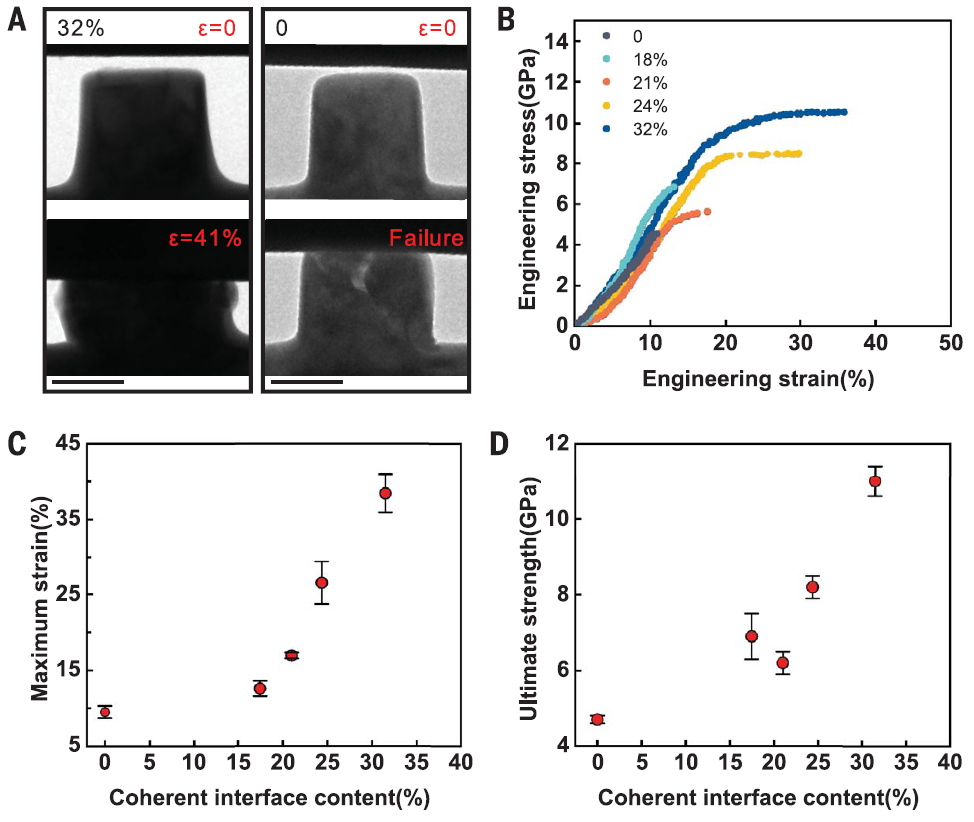 2025新澳门开门原料免费