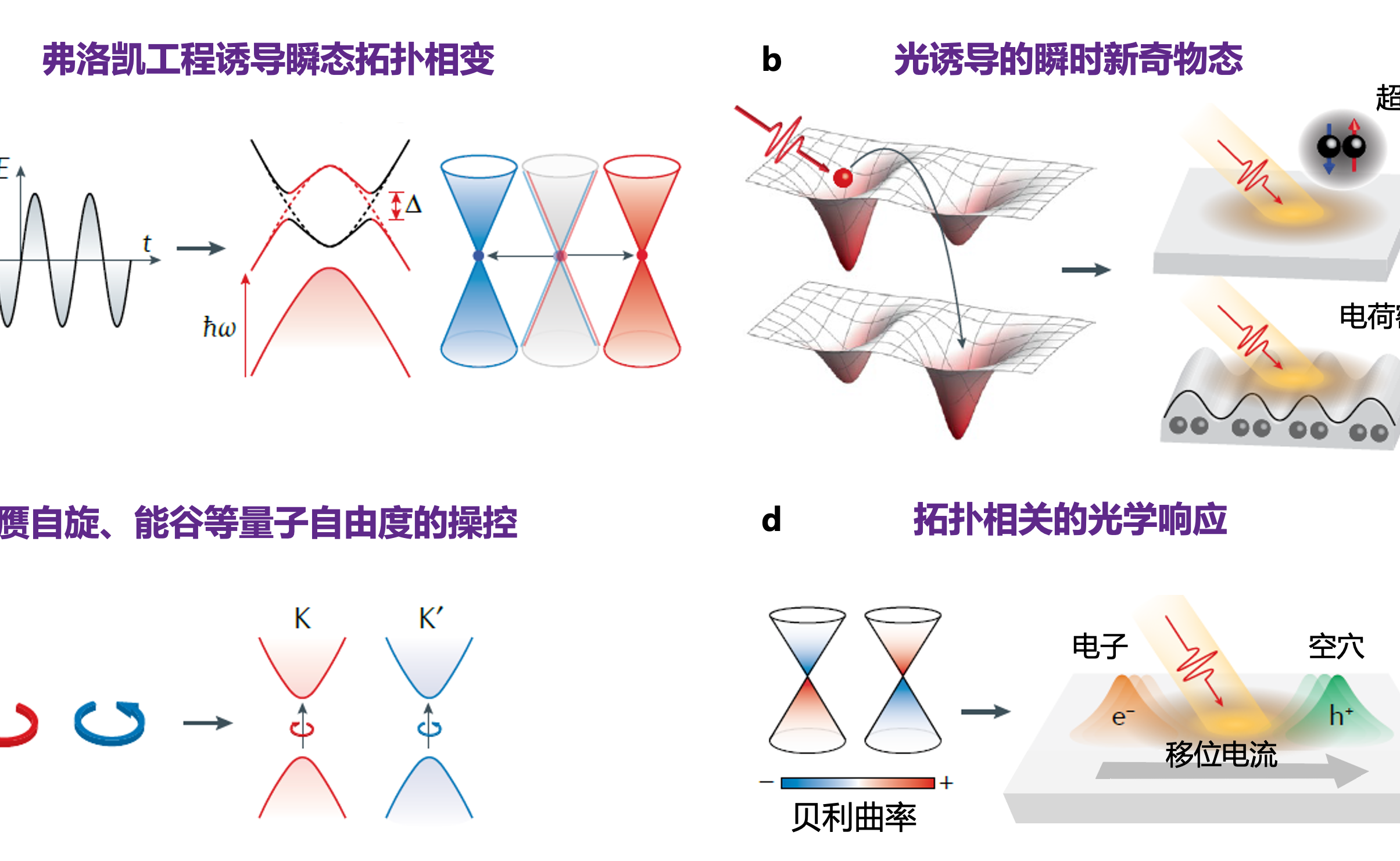 2025新澳门开门原料免费