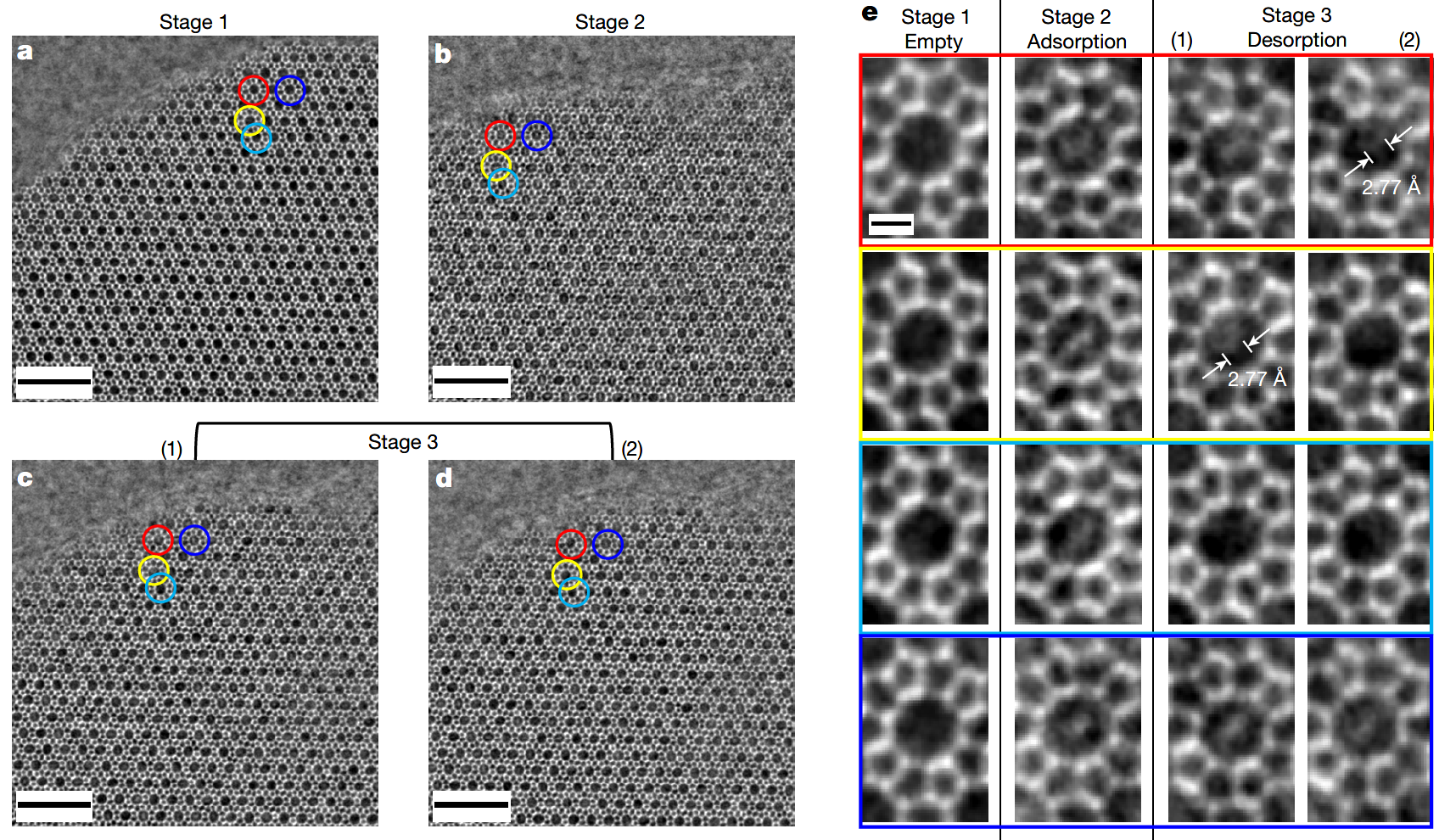 2025新澳门开门原料免费