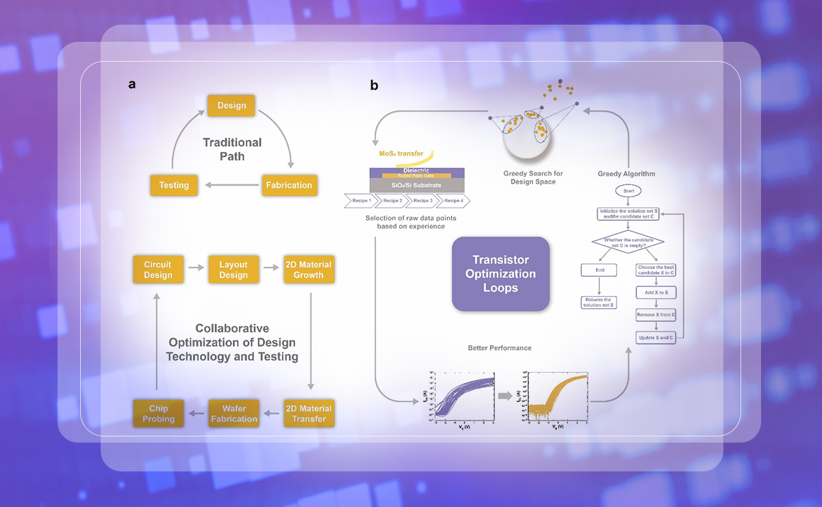 2025新澳门开门原料免费
