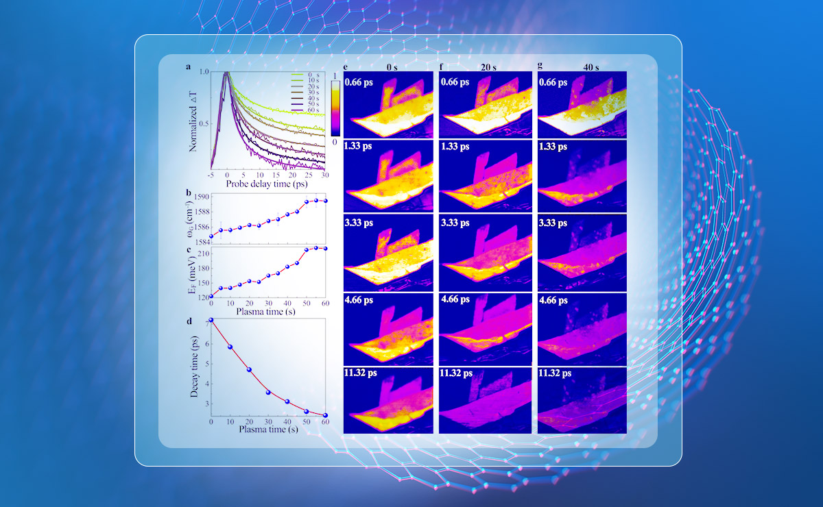 2025新澳门开门原料免费